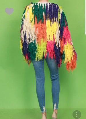 Colorful Shag sweater